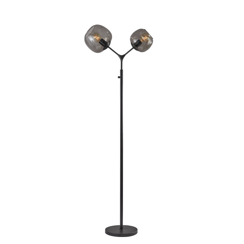 Ashton 2-Light Floor Lamp in Matte Black