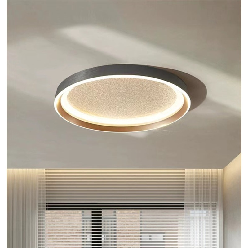 Modern Minimalist Round Metal Frame Acrylic Shade LED Flush Mount Ceiling Light For Living Room