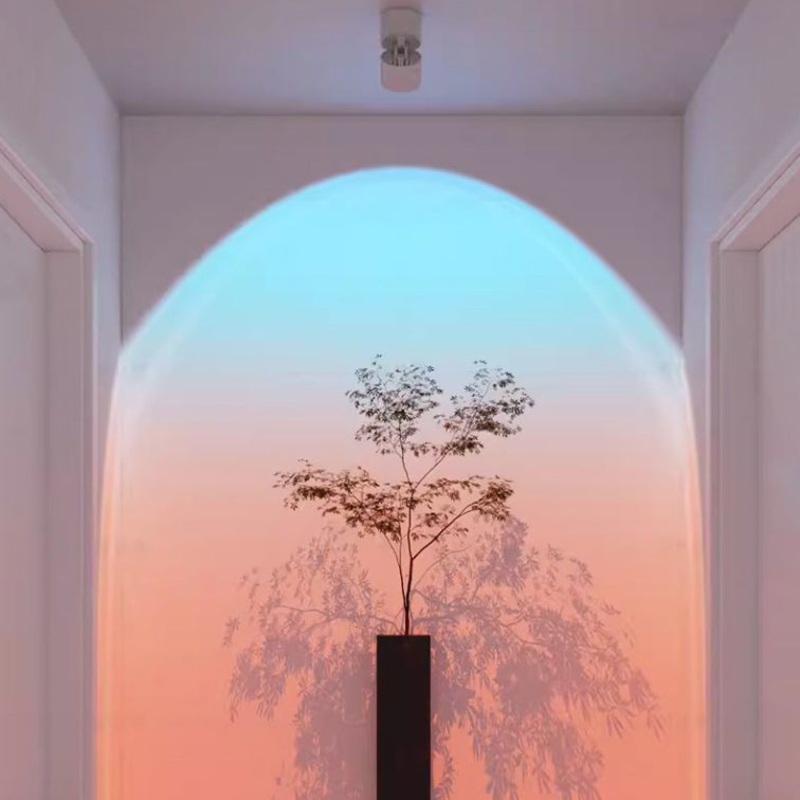 Modern Minimalist Sunset Sunrise Aluminum Cylinder Adjustable Spotlight LED Flush Mount Ceiling Light For Living Room