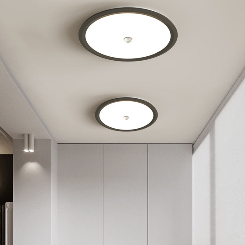 Modern Minimalist Iron Aluminum Geometric Ellipse Acrylic Shade LED Flush Mount Ceiling Light For Living Room